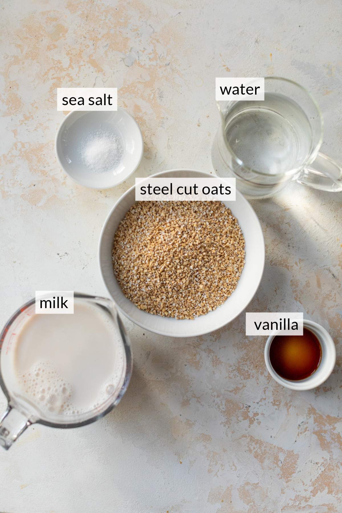 Bowl with dry steel cut oats near milk, vanilla, sea salt, and water.